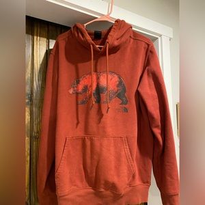 The North Face Men's Bear Pullover Hoodie Standard Fit In Maroon NWT